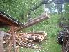 2003_0605_165454AA.jpg